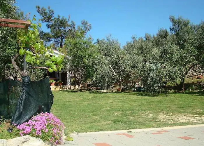 Apartment Davorka Simuni