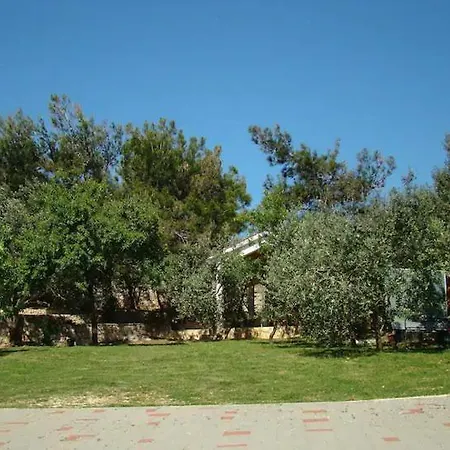 Davorka Šimuni